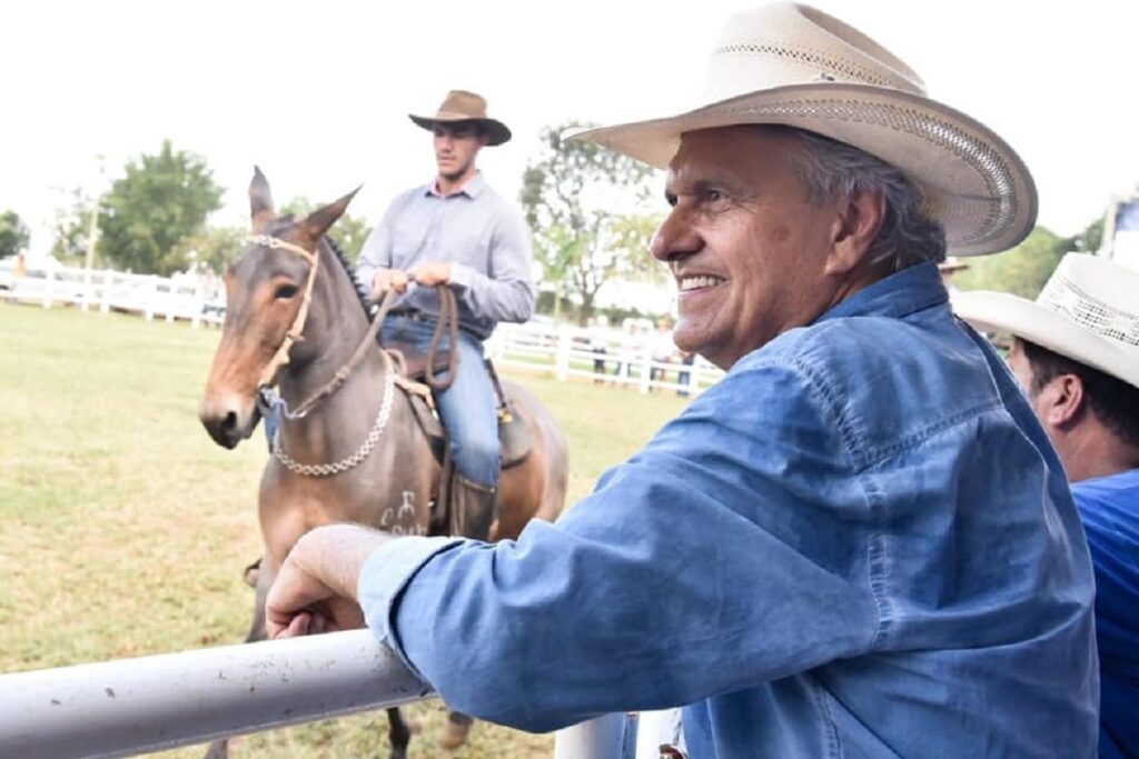 Caiado propõe perdão de R$ 402,5 milhões em ICMS sobre circulação de gado em Goiás