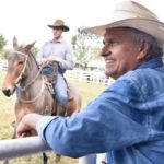 Caiado propõe perdão de R$ 402,5 milhões em ICMS sobre circulação de gado em Goiás