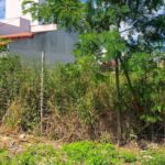 Prefeitura de Rio Verde impõe multa de R$ 326,02 para donos de lotes sujos