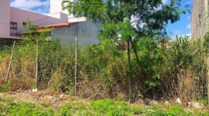 Em Rio Verde, proprietários de lotes baldios que não realizarem a limpeza podem ser multados em até R$ 326,02. Saiba mais sobre a fiscalização e como denunciar