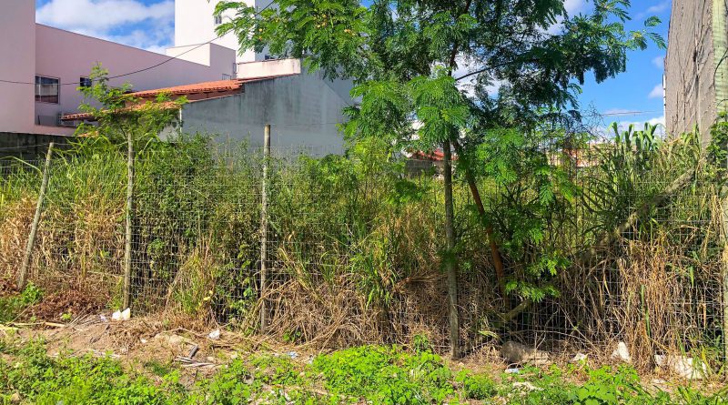 Prefeitura de Rio Verde impõe multa de R$ 326,02 para donos de lotes sujos