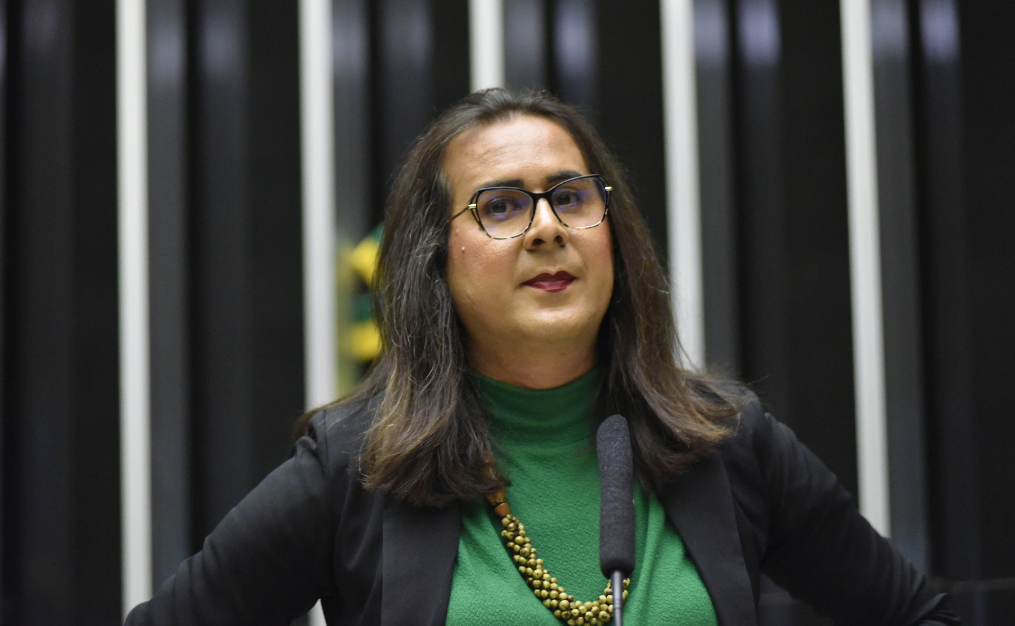 Coitado do rato! Deputada Duda Salabert cria projeto de lei para proibir fita cola-rato no Brasil