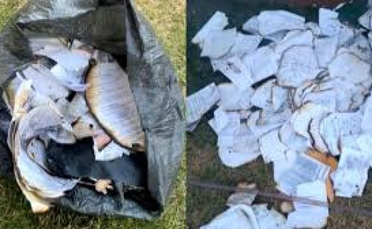 04 - Prefeitura de Castelândia