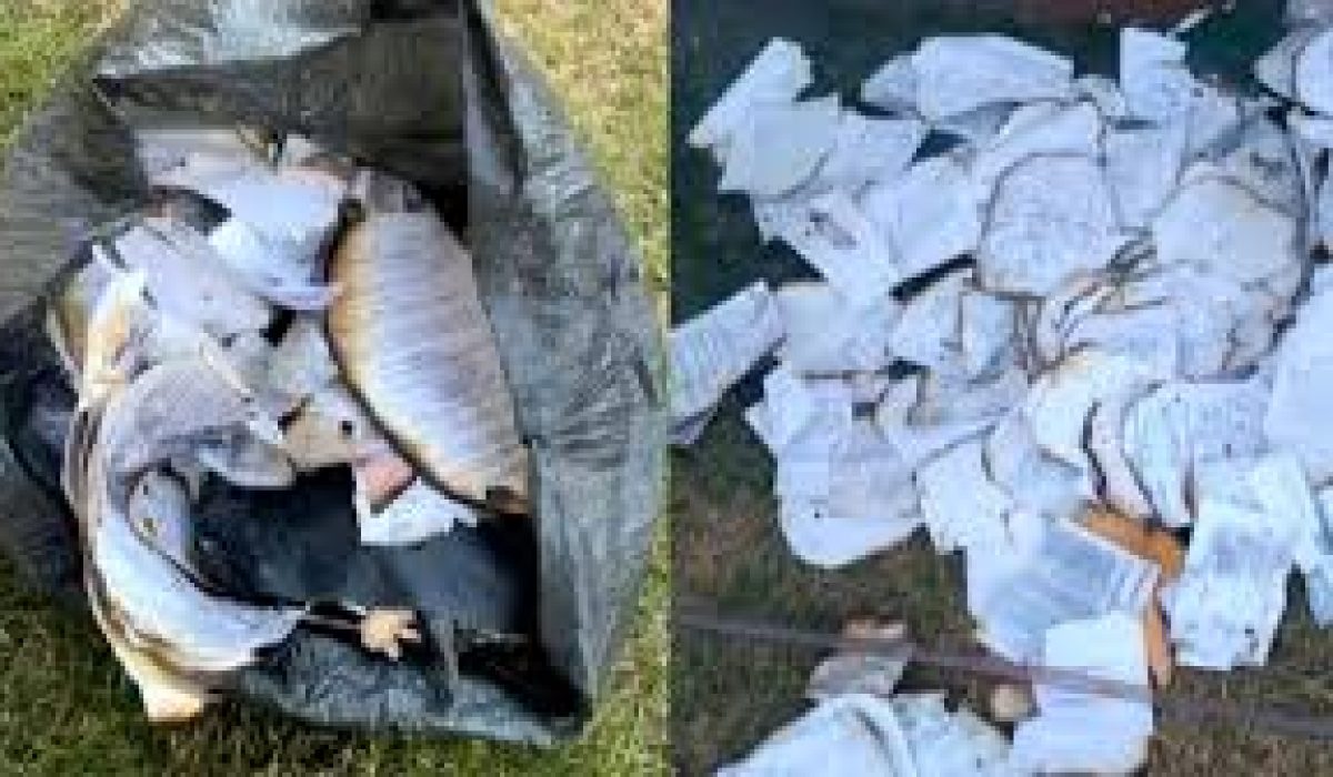 04 – Prefeitura de Castelândia 04 - Prefeitura de Castelândia