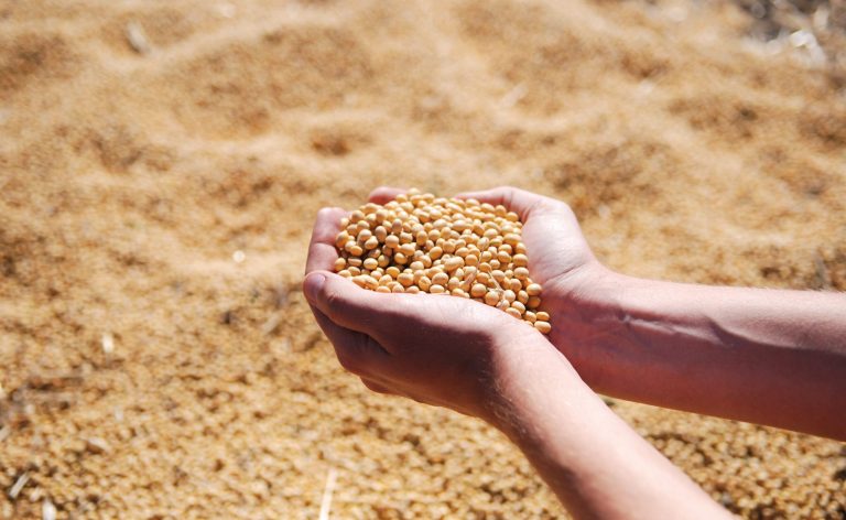 Agronegócio brasileiro cresce 10% por hora trabalhada em 2025 com avanço em tecnologia, mecanização e gestão eficiente, superando outros setores da economia.