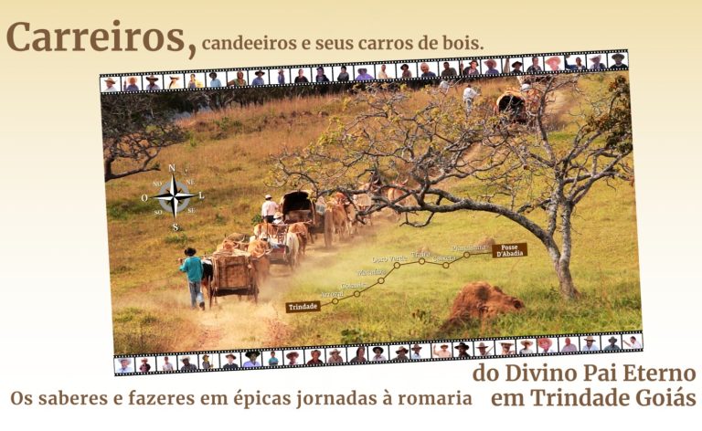 541da0a8-3dca-4665-8e1f-9ebd264bd0ae