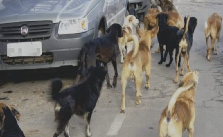 6b6ea8f5-d5aa-43c4-bed5-3b674babdcbb