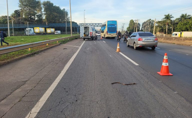 A BR-153, considerada a rodovia mais perigosa de Goiás, registrou 91 mortes e quase 1.000 acidentes em 2025. O estado ocupa a 8ª posição no ranking nacional de acidentes e óbitos