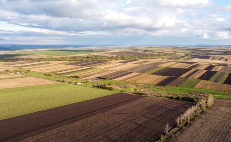 Terras em Goiás registram queda de até 50% em meio à crise do agronegócio, que soma 1.990 recuperações judiciais em 2025 e pressiona produtores