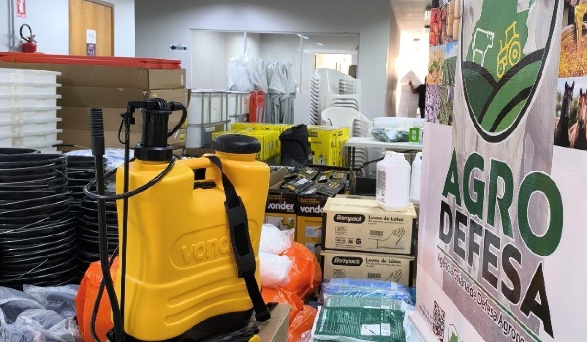 Goiás investe mais de R$ 160 mil para reforçar o combate à influenza aviária com aquisição de EPIs e insumos operacionais, protegendo a avicultura e garantindo a saúde pública