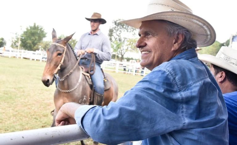 Governo de Goiás propõe perdão de ICMS para produtores rurais com transferências de gado bovino em Marabá e prevê impacto de R$ 402 milhões em 2026, beneficiando mais de 10 mil produtores