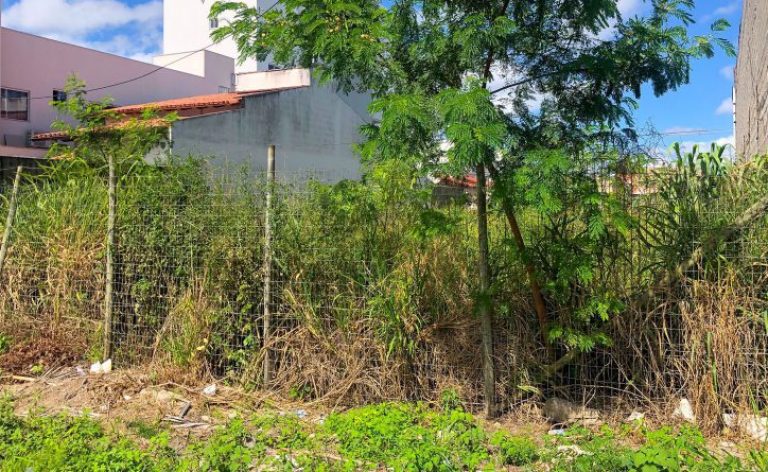 Em Rio Verde, proprietários de lotes baldios que não realizarem a limpeza podem ser multados em até R$ 326,02. Saiba mais sobre a fiscalização e como denunciar